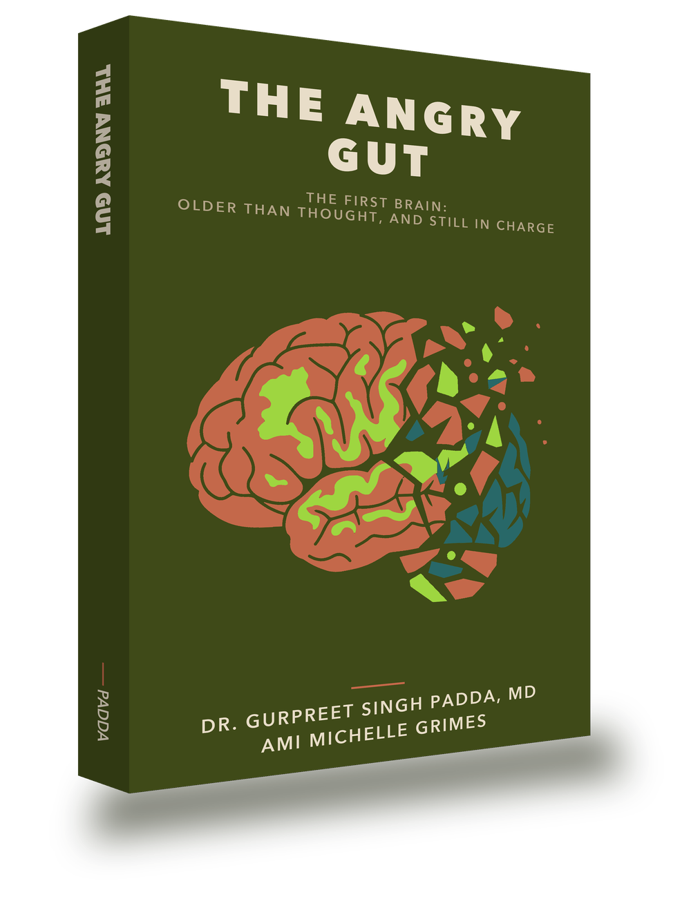 The Angry Gut — book cover